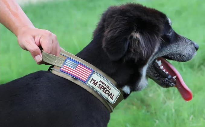 Tactical Dog Collar with Handle for Medium Dogs, 2.5"Wide Thick Heavy Duty Metal Buckle Dog Collar with Soft Neoprene Padded Lining, Military Service Reflective Collar for Training (Khaki,M)
