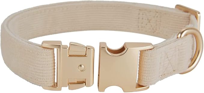 Soft Corduroy Dog Collar and Leash Set Adjustable Durable Wedding Dog Collars with Metal Buckle and Lead for Medium Dogs,Beige