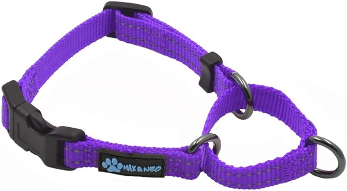 Max and Neo Nylon Martingale Collar - We Donate to a Dog Rescue for Every Collar Sold (X-Small, Purple)