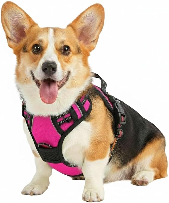 No Pull Dog Harness, Medium Rose Tactical Vest Harness, 900D Durable Nylon Reflective Pet Harness with Front & Back Control Handles, Adjustable Padded No-Choke Vest for Medium Dogs Border