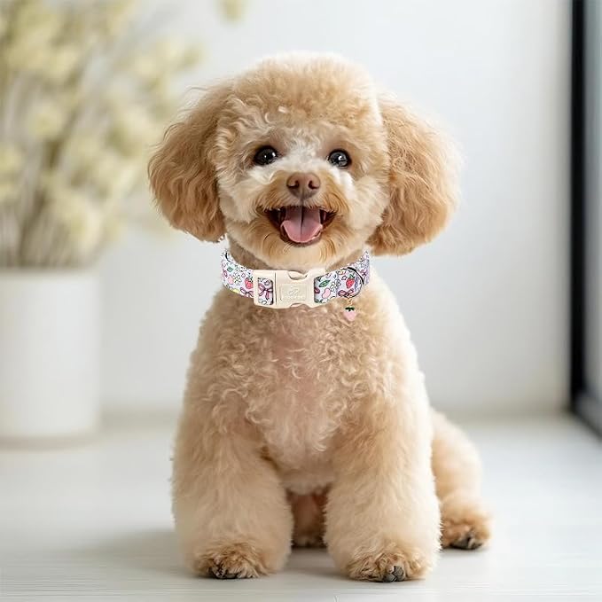 Summer Dog Collar Cute Lavender Dog Collars for Small Dogs - Lightweight Adjustable Fruit Printed Female Dogs Everyday Collar with Safety Buckle S