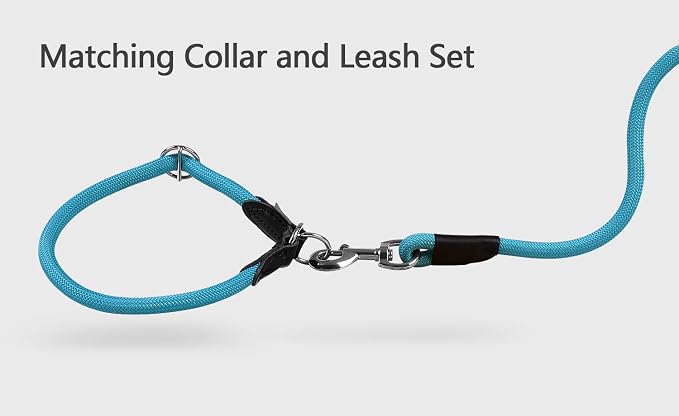 Dog Leash, Braided Rope Traction – Walking Training Lead for Small Dogs ((1/3") x 6FT, Light Blue)