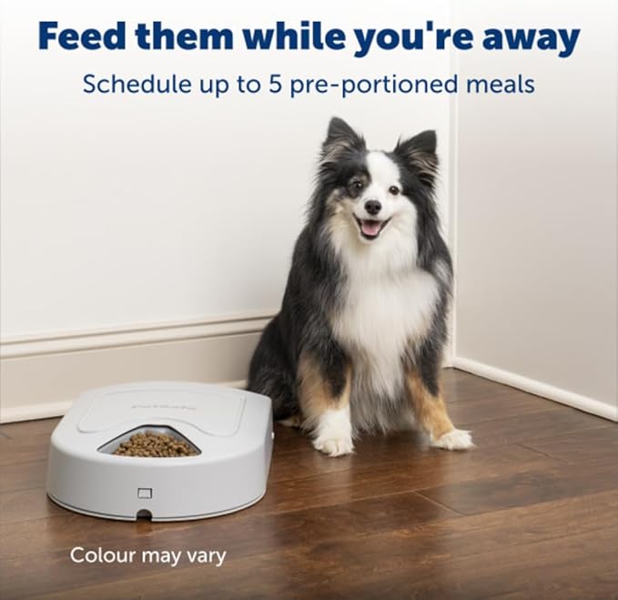 PetSafe Automatic Dog Feeder, 5 Meals, 40 oz Capacity, Plastic, for Dry Food, Multiple Pets