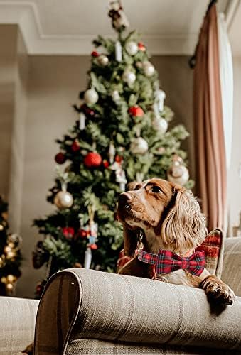 Unique style paws Christmas Dog Collar Bow tie Collar Adjustable Collars for Dogs Small Medium Large