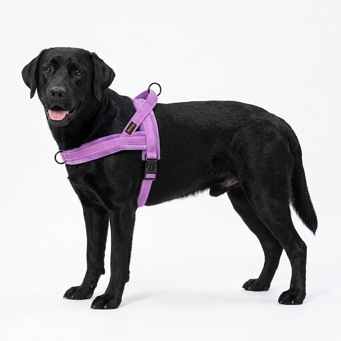 Didog Soft Flannel Padded Dog Vest Harness, No Pull/Quick Fit Reflective Dog Strap Harness, Easy for Training Walking (L:Chest 26-32", Purple)