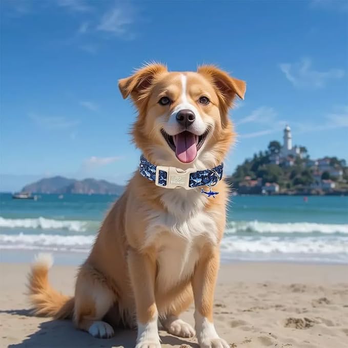 Blue Shark Dog Collar, Cute Boy Dog Collars for Small Dogs - Summer Ocean Pattern Female Male Dogs Collar, Durable Adjustable Pet Cartoon Collars with Quick Release Buckle S