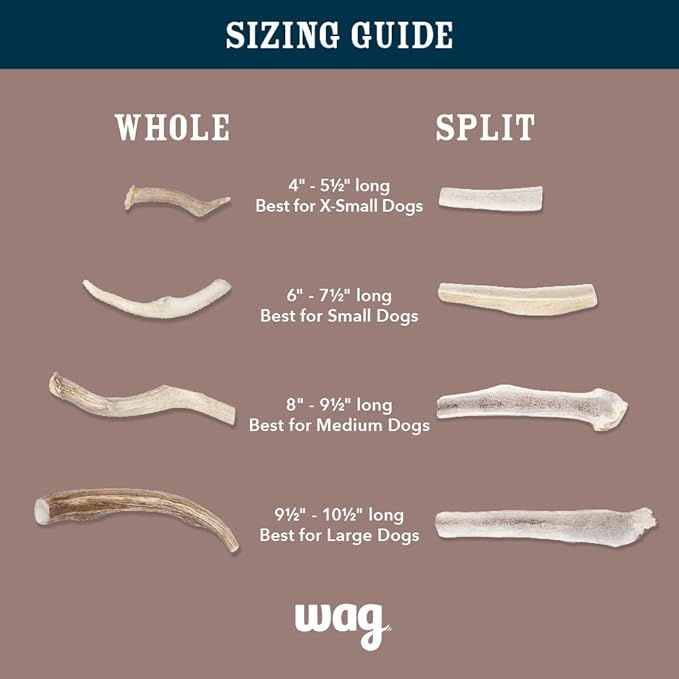 Amazon Basics Split Elk Antler, Medium, for Dogs | Naturally Shed | 15-30 lbs (Pack of 4) (Previously Wag)