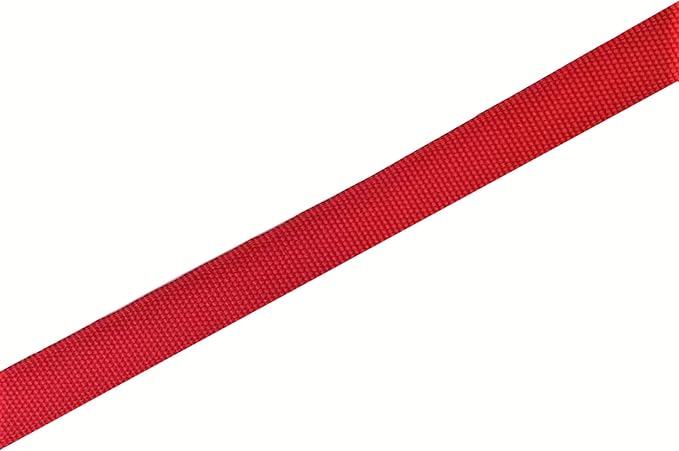 TAIAN 4FT/5FT/6FT Strong Dog Leash, Nylon Dog Leashes for Small Medium Large Dogs (1 in x 5 ft, Red)