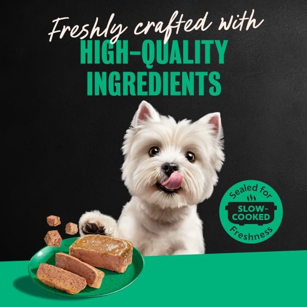 Cesar Classic Loaf in Sauce Adult Wet Dog Food with Duck, Oven Roasted Chicken, Grilled Chicken, and Turkey Recipes, 3.5 oz. Easy Peel Trays, Variety Pack (24 Count, Pack of 1)