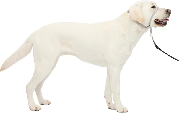PetSafe Gentle Leader No-Pull Dog Headcollar - The Ultimate Solution to Pulling - Redirects Your Dog's Pulling for Easier Walks - Helps You Regain Control - Large, Silver