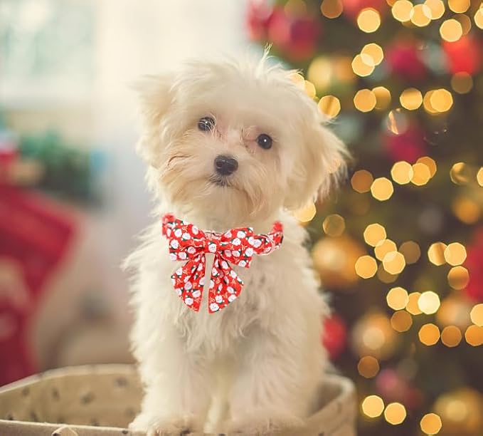Unique Style Paws Christmas Day Dog Collar with Bowtie Christmas Man Elk Cotton Puppy Collars for Small Medium Large Dogs