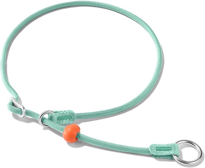 HowGo Slip Collar for Dogs,No Pull Adjustable Martingale Collar for Training, Nylon Rope,Dual Stopper and Durable Aluminum Hardware,Spring-Loaded,for Small Medium Large Dogs(MintGreen)