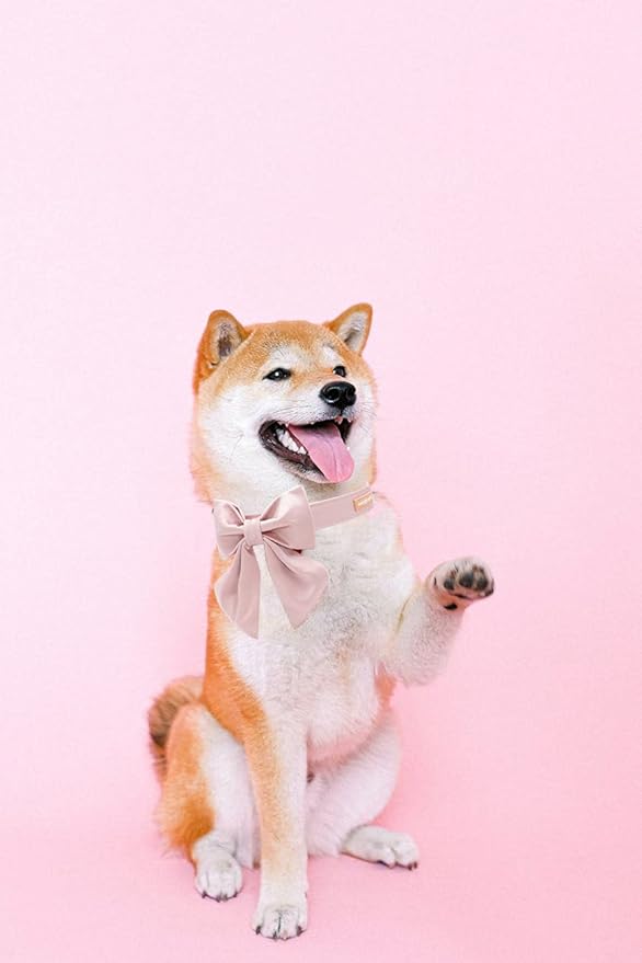 Unique style paws Silk Pink Color Dog Collar Adjustable Durable Dog Collar with Bow Wedding Bowtie Collar for X-Large Dogs
