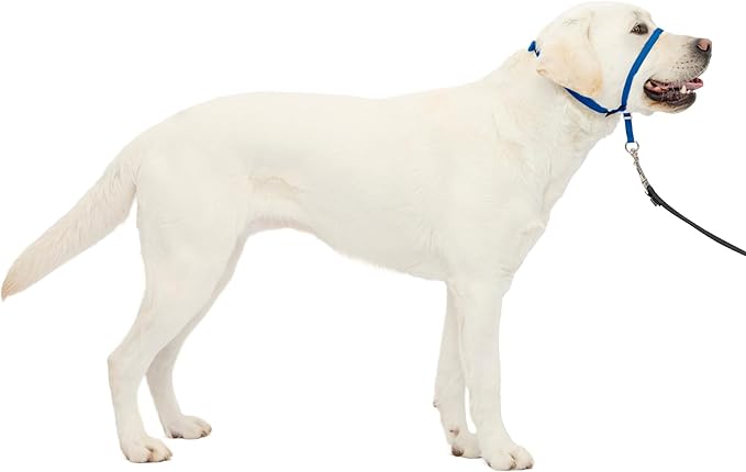 PetSafe Gentle Leader No-Pull Dog Headcollar - The Ultimate Solution to Pulling - Redirects Your Dog's Pulling for Easier Walks - Helps You Regain Control - Large, Royal Blue