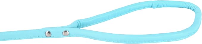 Light Blue Soft Leather Dog Leash for Small,Medium Dog Walking, Comfortable Leather Handle, 4 ft Light Blue