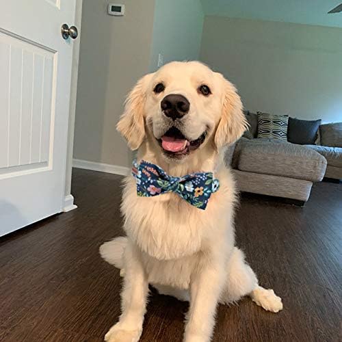 Elegant little tail Dog Collar with Bow, Flower Pattern Soft Comfy Bowtie Dog Collar Adjustable Pet Gift Collars for Small Medium Large Dogs
