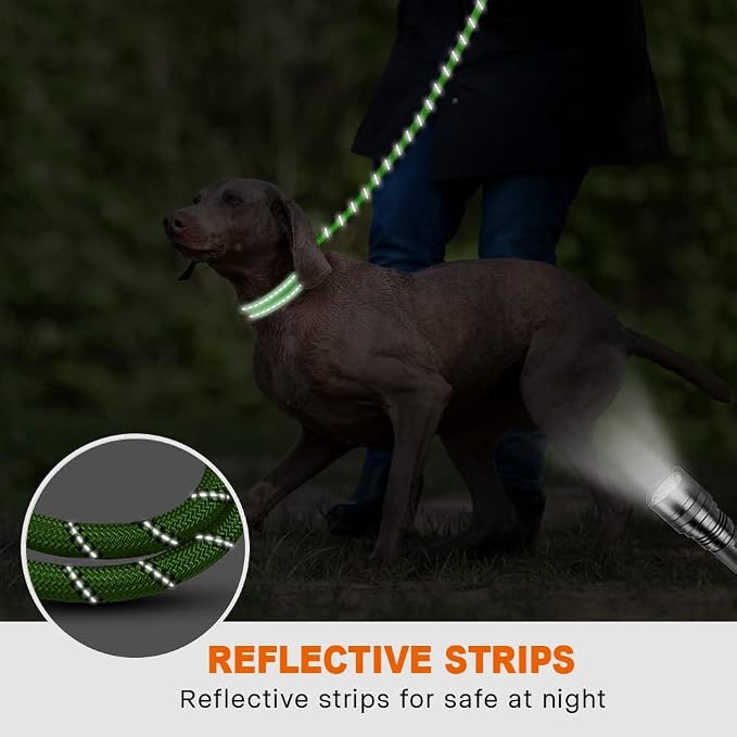 Taglory Rope Dog Leash 5 FT with Comfortable Padded Handle, Highly Reflective Threads Leash and Anti-Tangle Clip for Walking Medium Large Dogs, 1/2 inch, Green