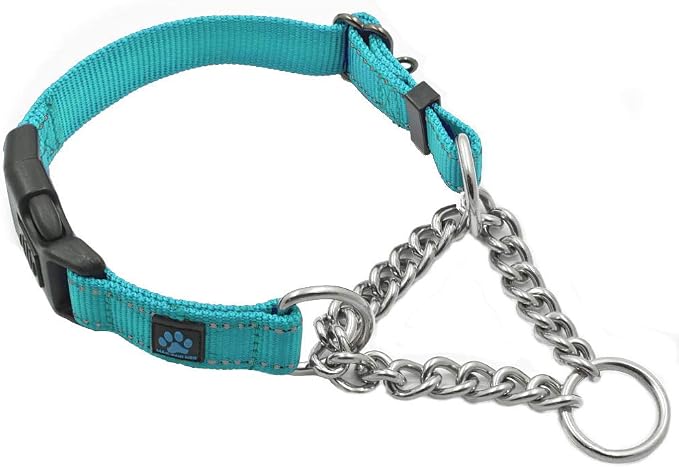 Max and Neo Stainless Steel Chain Martingale Collar - We Donate to a Dog Rescue for Every Collar Sold (Large, Teal)