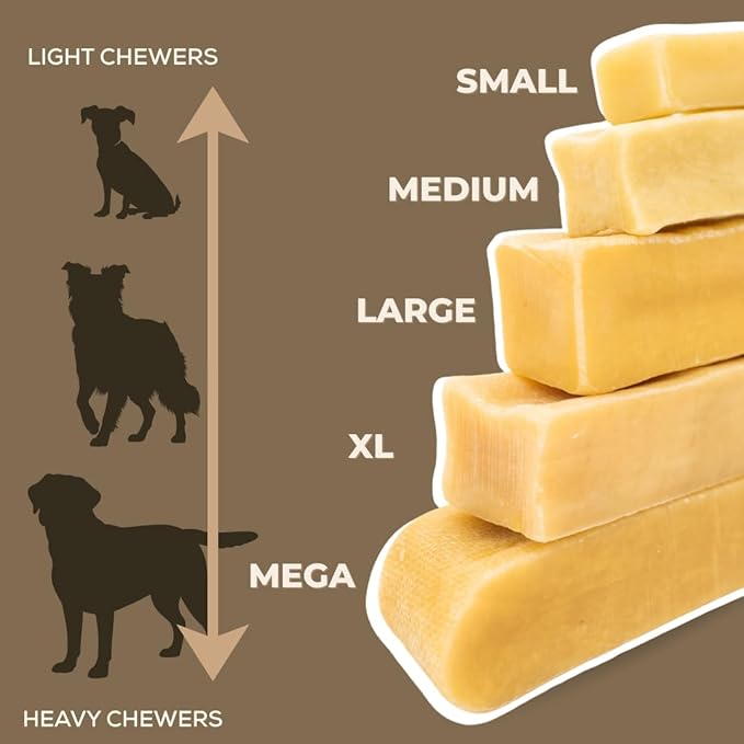 Bully Bunches Premium Fruit-Flavored Himalayan Yak Chew for Dogs - 100g, All-Natural, Long-Lasting, Authentic Yak Milk, Healthy Dental Chew, High-Protein (Medium Blueberry - 3PK, Blueberry)