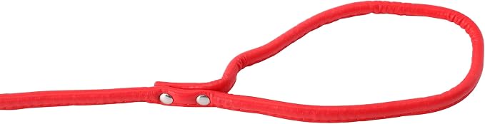 Red Soft Leather Dog Leash for Small,Medium Dog Walking, Comfortable Leather Handle, 4 ft Red