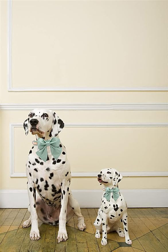 Unique style paws Silk Green Color Dog Collar Adjustable Durable Dog Collar with Bow Wedding Bowtie Collar for Small Puppy and Cats