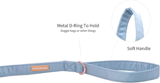 Unique style paws Silk Dog Leash Durable Dog Leashes with Welded D-Ring Comfortable Handle for Small Medium Large Dogs Z-Sky
