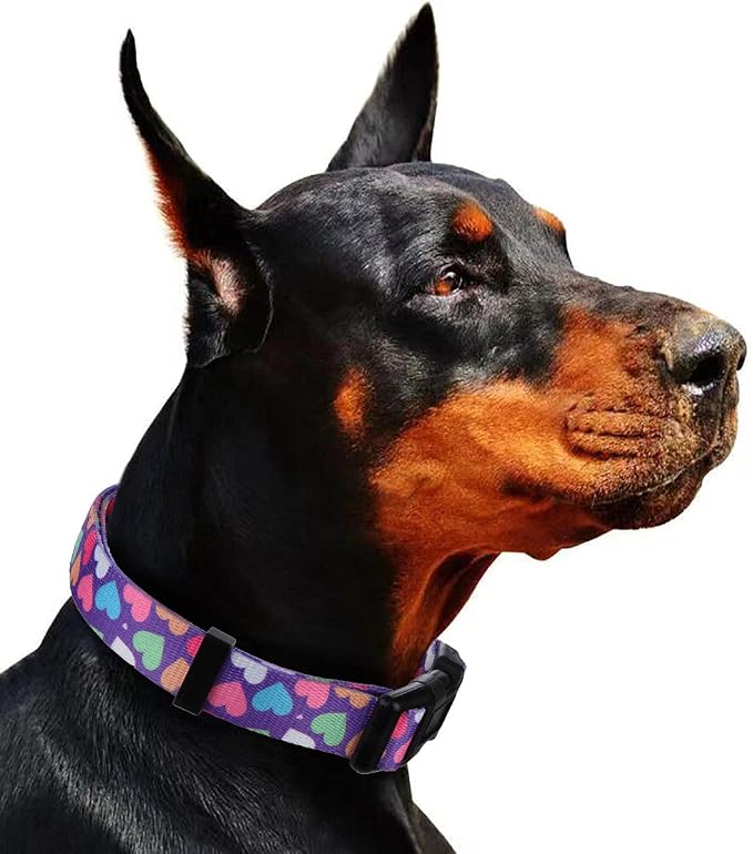 Girl Dog Collars Spring Cute Heart Pattern Lovely Print Purple for Medium Dogs