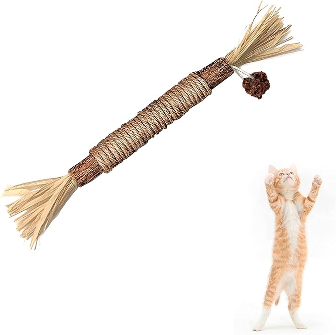 Silvervine Sticks Cat Chew Toys for Indoor Cats Dental Care Teeth Cleaning, Natural Kitten & Cat Teething Toys for Health, Cat Chew Stick Treat Edible Suitable for All Breeds of Aggressive Chewers Cat