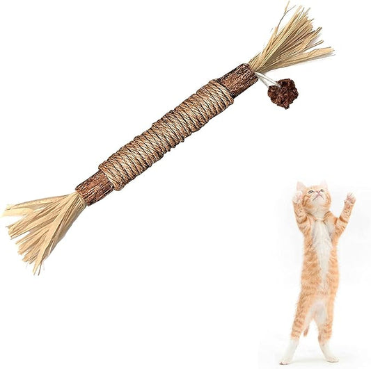 Silvervine Sticks Cat Chew Toys for Indoor Cats Dental Care Teeth Cleaning, Natural Kitten & Cat Teething Toys for Health, Cat Chew Stick Treat Edible Suitable for All Breeds of Aggressive Chewers Cat
