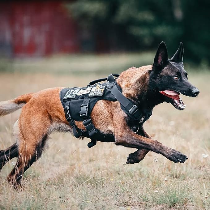 OneTigris No Pull Dog Harness for Small Dog, Mesh Design Breathable Military Dog Molle Vests with Handles, Service Dog Vest Harness for Walking Hiking Training