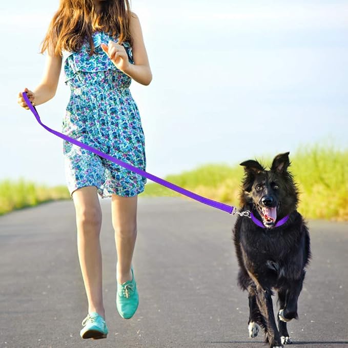 FunTags 4FT Purple Reflective Dog Leash for Large & Medium Dogs Training, Soft Padded Handle Comfortable Grip, Heavy Duty Nylon, Reflective for Night Walking, 1in Wide
