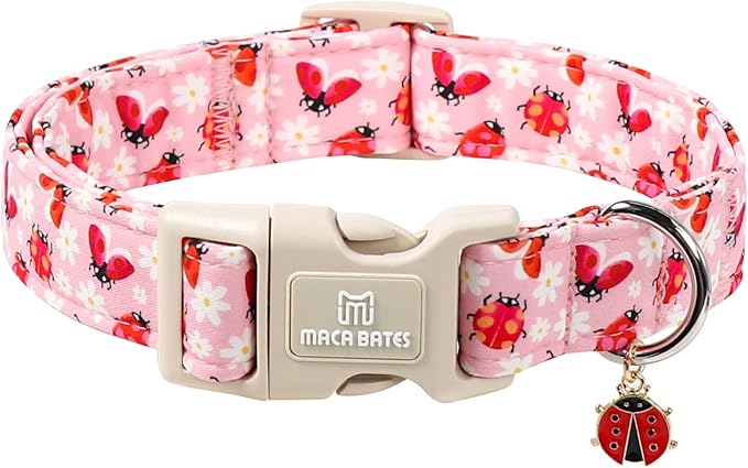 Maca Bates Spring Pink Basic Dog Collar with Ladybug Charm for Small Girl Boy Dogs, Ladybugs Pattern,Pretty Adjustable Durable Soft Collars Gift for Male Female Puppy