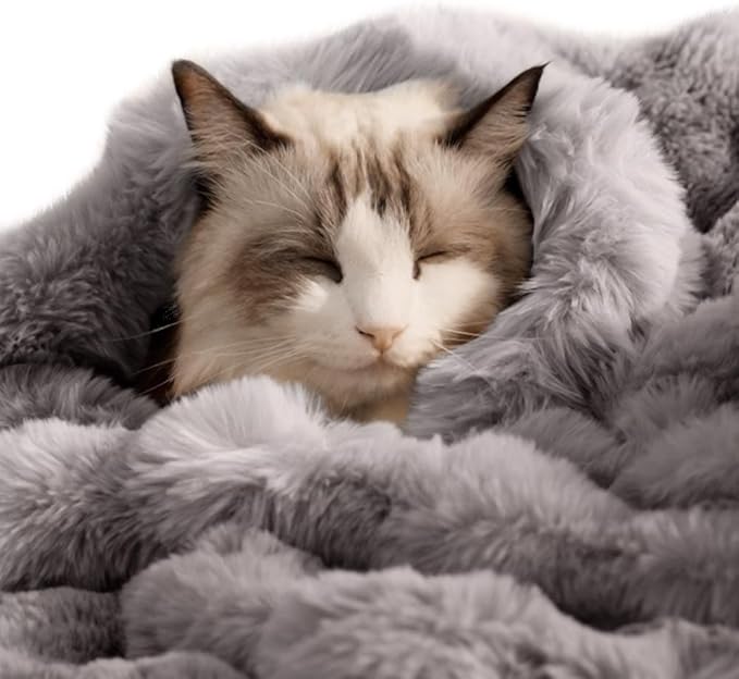 SOMAHE Pet Blanket, Reversible Sherpa & Bubble Fleece Pet Throw, Ultra-Soft Plush for Cats & Small Dogs, Machine Washable, Anti-Static, Warm & Cozy,28"×22" Inch Gray