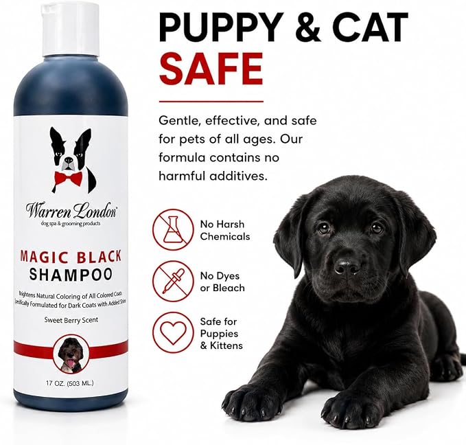 Warren London Magic Black Dog Shampoo – Brightening Shampoo for Dark Coats, Berry Scent, Puppy & Cat Safe, Made in USA, 17 oz
