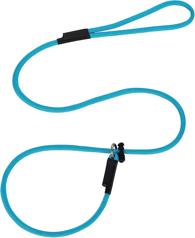 Slip Lead Dog Leash – 5/16 Inch Nylon Rope No Pull Training Leash with Stopper, Slip Rope for Walking & Correction, 4FT/5FT/6FT Control Lead for Medium Large Dogs(Sky Blue, 4 FT)