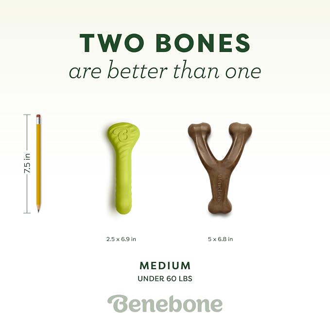 Benebone Bacon Wishbone/Rubber Bone Medium, 2-Pack