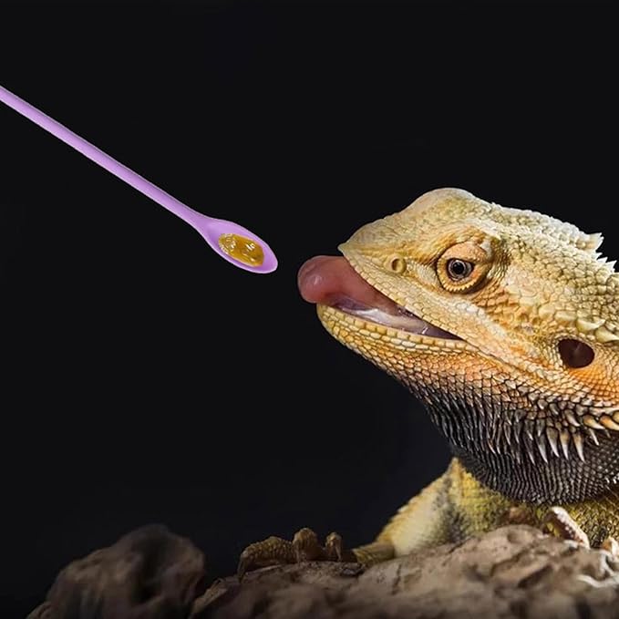2Pcs Reptile Spoon, Reptile Powder Fruit Mixing Stirring Food Long Handle Feeding Tool Fit Crested Gecko Gargoyle Bearded Dragon