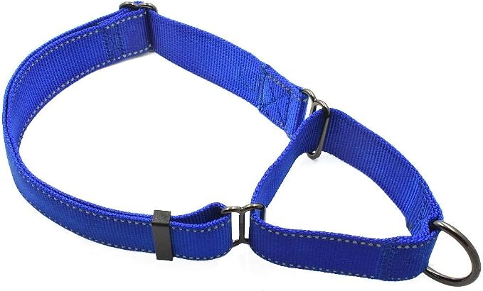 Max and Neo Nylon Extra Large Dog Martingale Collar - We Donate to a Dog Rescue for Every Collar Sold (Blue)