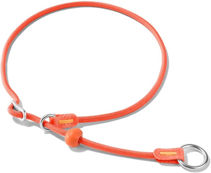 HowGo Slip Collar for Dogs,No Pull Adjustable Martingale Collar for Training, Nylon Rope,Dual Stopper and Durable Aluminum Hardware,Spring-Loaded,for Small Medium Large Dogs(Orange)