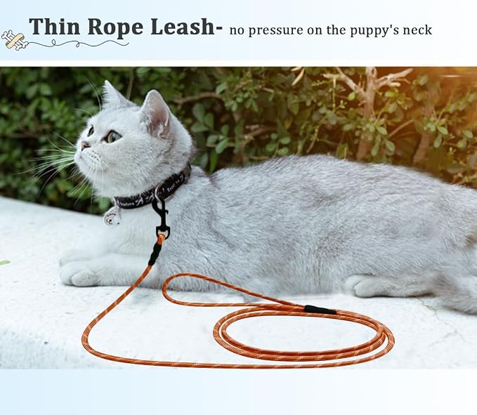 WYuZe Reflective X-Small Dog Leash 6ft Thin 1/5" Rope Cat Leash | Lightweight Sturdy for Puppy Training, Walking Lead for Chihuahua Maltese Small Pet Up to 15lb