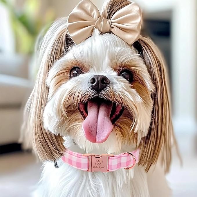 Girl Dog Collar, Classic Pink Gingham Dog Collars - Soft Adjustable Spring Summer Everyday Collars for Small Medium Large Dogs, Sweet Checkered Female Dogs Collar S