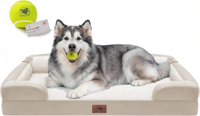 Extra Large Dog Bed Orthopedic - Washable Jumbo Pet Bed for Big Dogs Waterproof Pet Couch Memory Foam Sofa Bolster with Removable Cover,48 x 30