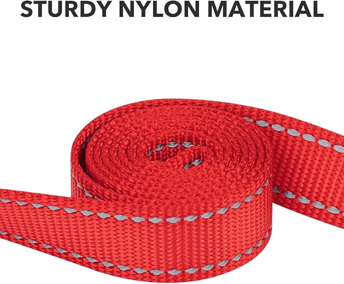 Taglory Dog Leash for Medium Large Dogs, Double-Sided Reflective for Night Walking, Neoprene Padded Handle, 1 inch by 5 ft, Heavy Duty for Medium Large Breeds 20-150 lbs, Red