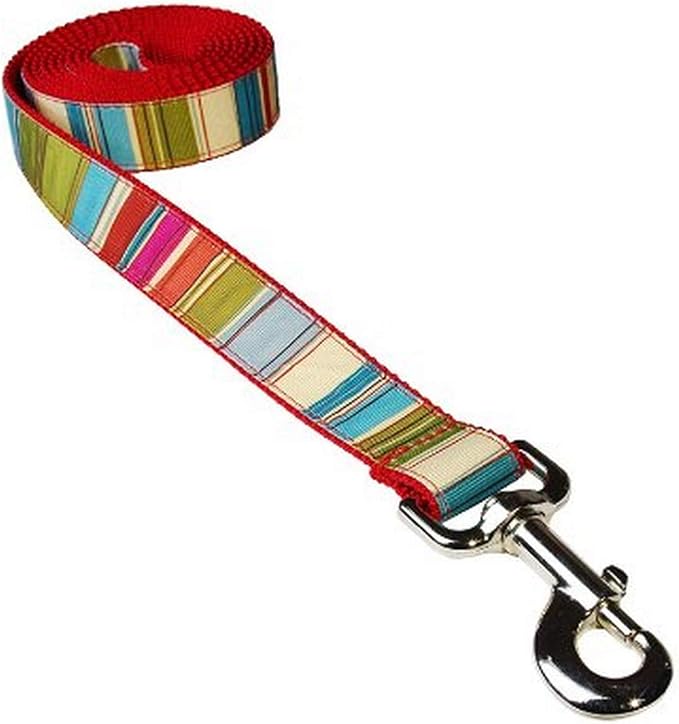 Large Red/Multi Stripe Dog Leash: 1" Wide, 6ft Length - Made in USA.