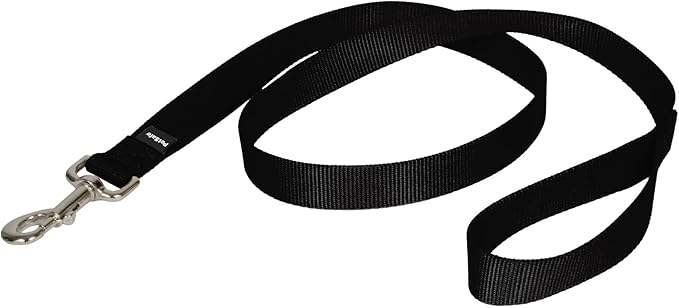 PetSafe Nylon Dog Leash Strong, Durable, Traditional Style Lead with Easy to Use Bolt Snap for Small, Medium and Large Dogs 1" x 4', Black