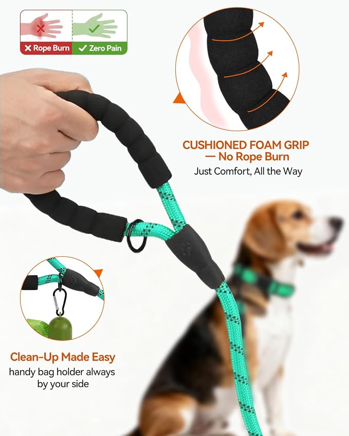 Joytale Dog Leash for Small Dogs, Heavy Duty Nylon Leashes with Comfortable Padded Handle and Highly Reflective Threads, Ideal for Walking and Training, Teal, 6'×3/8''