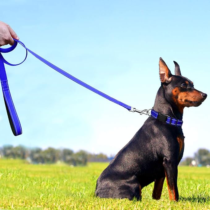 FunTags 4FT Royal Blue Reflective Dog Leash for Medium & Small Dogs Training, Soft Padded Handle Comfortable Grip, Heavy Duty Nylon, Reflective for Night Walking, 3/4in Wide