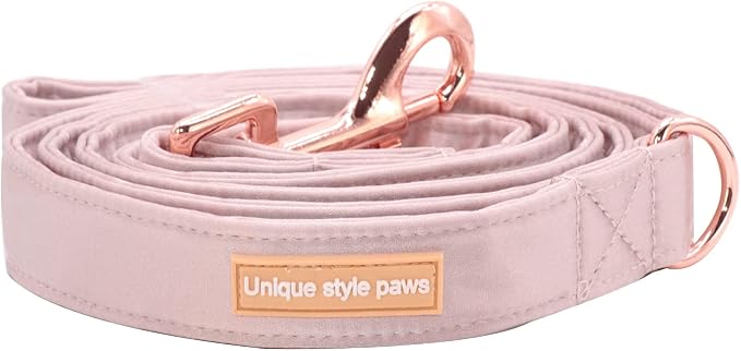 Unique style paws Silk Dog Leash Durable Dog Leashes with Welded D-Ring Comfortable Handle for Small Medium Large Dogs Z-Princess