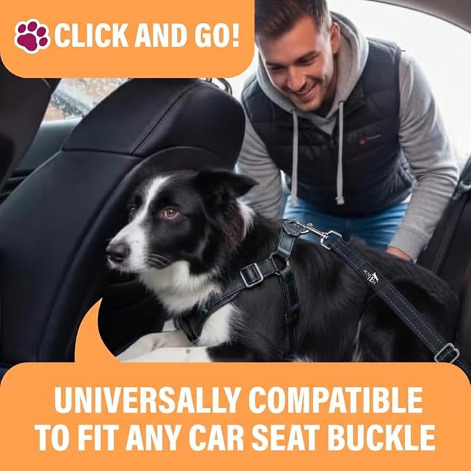 Active Pets Blue Car Seat Belt for Dogs, Attaches to Harness & Collar, Adjustable 18" - 24" Travel Restraint System Fits Small - Large Pups for Safety & Comfort, Essential Pet Supplies & Accessories