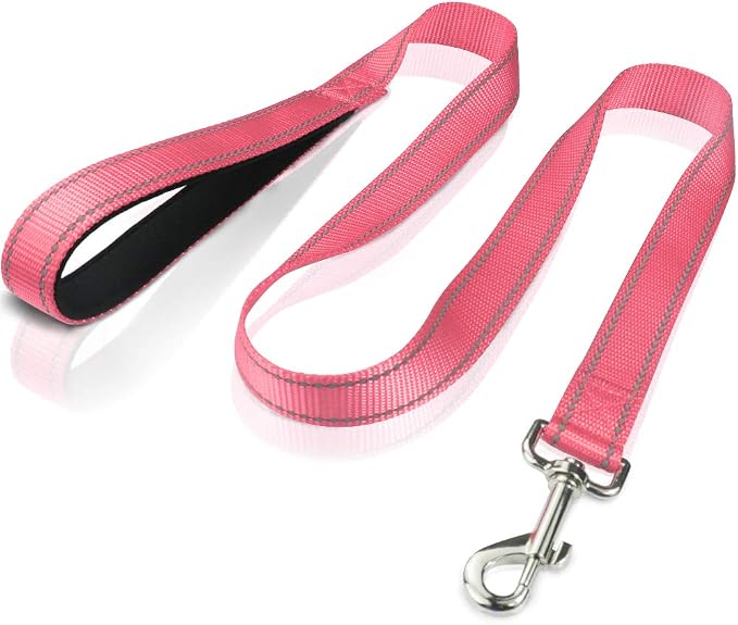 FunTags 4FT Neon Pink Reflective Dog Leash for Medium & Small Dogs Training, Soft Padded Handle Comfortable Grip, Heavy Duty Nylon, Reflective for Night Walking, 3/4in Wide